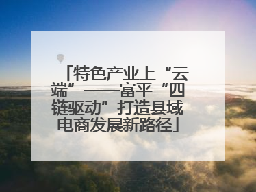 特色产业上“云端”——富平“四链驱动”打造县域电商发展新路径