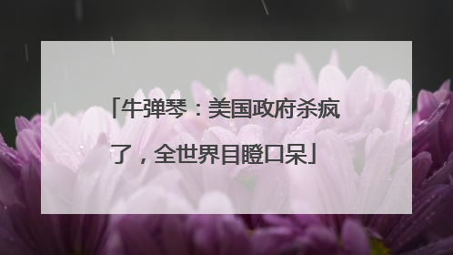 牛弹琴：美国政府杀疯了，全世界目瞪口呆