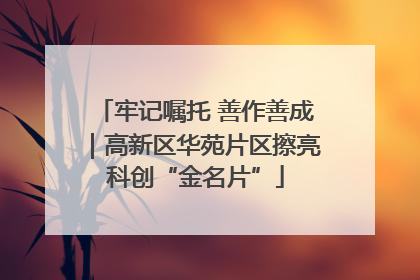 牢记嘱托 善作善成｜高新区华苑片区擦亮科创“金名片”