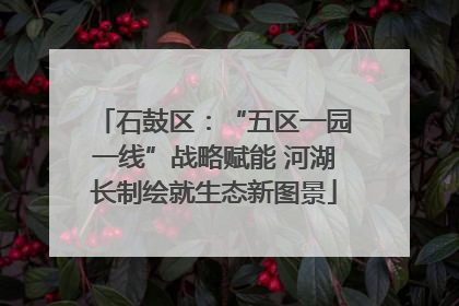 石鼓区：“五区一园一线”战略赋能 河湖长制绘就生态新图景