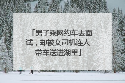 男子乘网约车去面试，却被女司机连人带车送进湖里