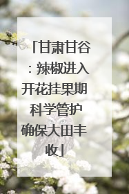 甘肃甘谷：辣椒进入开花挂果期 科学管护确保大田丰收