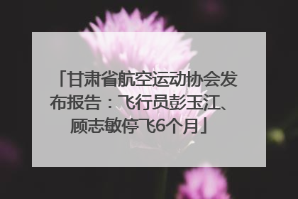 甘肃省航空运动协会发布报告：飞行员彭玉江、顾志敏停飞6个月
