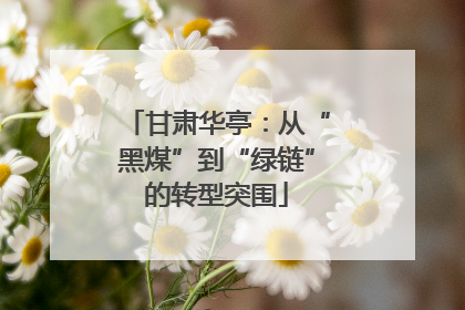 甘肃华亭：从“黑煤”到“绿链”的转型突围
