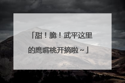 甜！脆！武平这里的鹰嘴桃开摘啦～