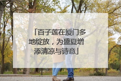 百子莲在厦门多地绽放，为盛夏增添清凉与诗意