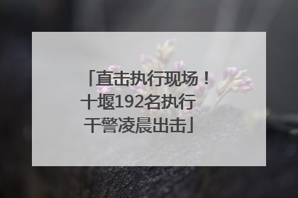 直击执行现场！十堰192名执行干警凌晨出击