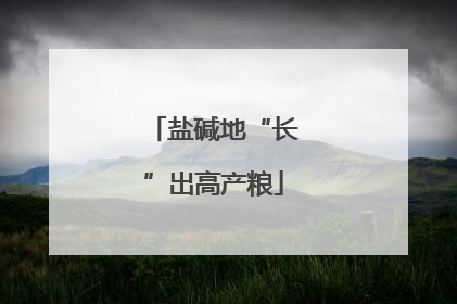 盐碱地“长”出高产粮