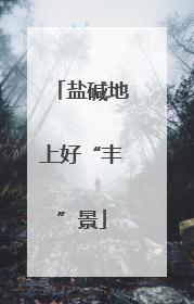 盐碱地上好“丰”景