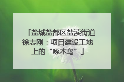 盐城盐都区盐渎街道徐志刚：项目建设工地上的“啄木鸟”