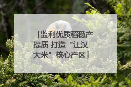监利优质稻稳产提质 打造“江汉大米”核心产区