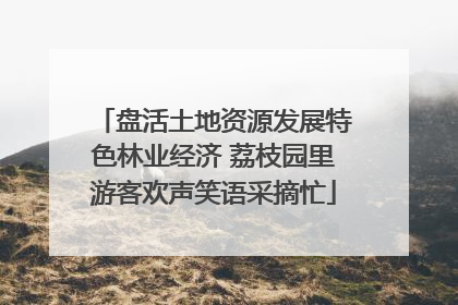 盘活土地资源发展特色林业经济 荔枝园里游客欢声笑语采摘忙