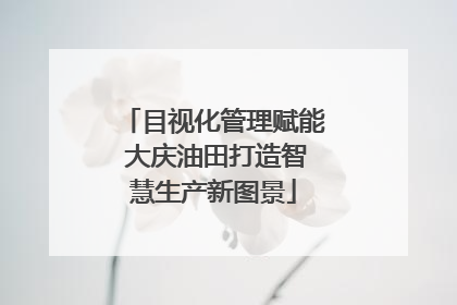 目视化管理赋能 大庆油田打造智慧生产新图景