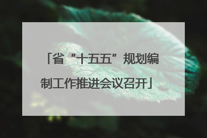 省“十五五”规划编制工作推进会议召开