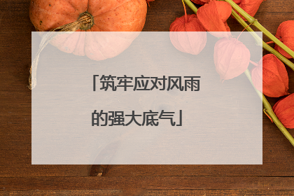 筑牢应对风雨的强大底气
