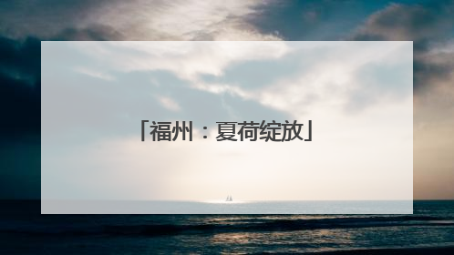 福州：夏荷绽放