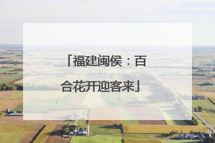 福建闽侯：百合花开迎客来