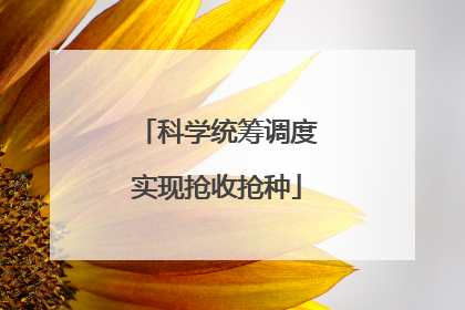 科学统筹调度实现抢收抢种