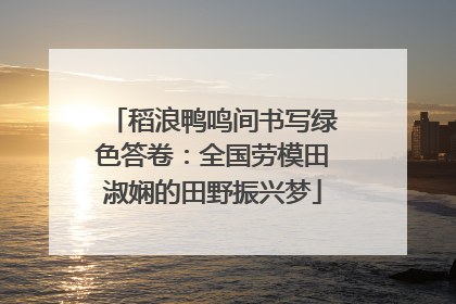 稻浪鸭鸣间书写绿色答卷：全国劳模田淑娴的田野振兴梦