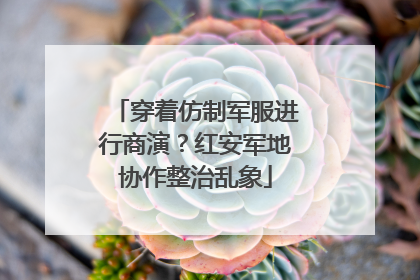 穿着仿制军服进行商演？红安军地协作整治乱象