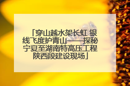 穿山越水架长虹 银线飞度护青山——探秘宁夏至湖南特高压工程陕西段建设现场