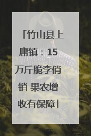 竹山县上庸镇：15万斤脆李俏销 果农增收有保障
