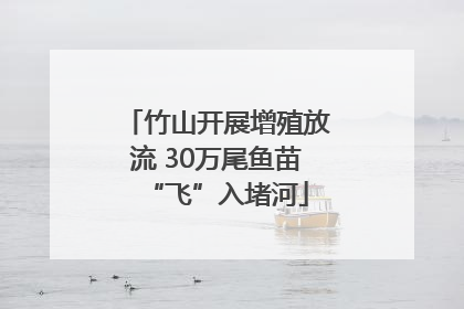 竹山开展增殖放流 30万尾鱼苗“飞”入堵河