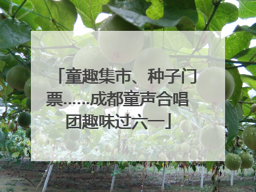 童趣集市、种子门票……成都童声合唱团趣味过六一