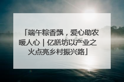 端午粽香飘，爱心助农暖人心｜亿膳坊以产业之火点亮乡村振兴路