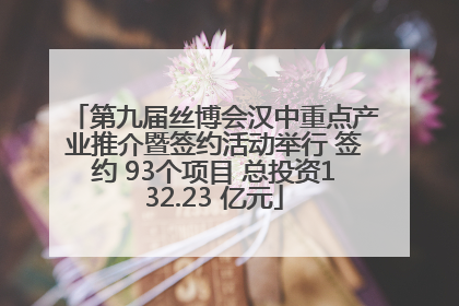 第九届丝博会汉中重点产业推介暨签约活动举行 签约 93个项目 总投资132.23 亿元