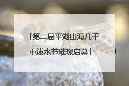 第二届平湖山海几千重泼水节璀璨启幕