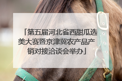 第五届河北省西甜瓜选美大赛暨京津冀农产品产销对接洽谈会举办
