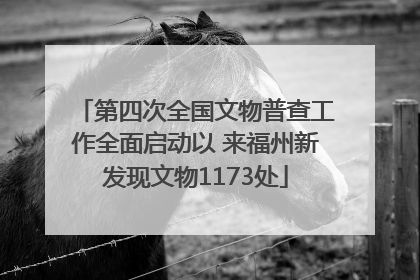 第四次全国文物普查工作全面启动以 来福州新发现文物1173处