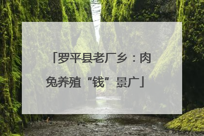 罗平县老厂乡：肉兔养殖“钱”景广
