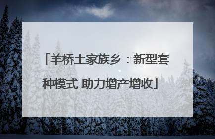 羊桥土家族乡：新型套种模式 助力增产增收