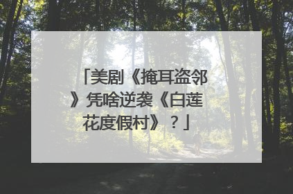 美剧《掩耳盗邻》凭啥逆袭《白莲花度假村》？