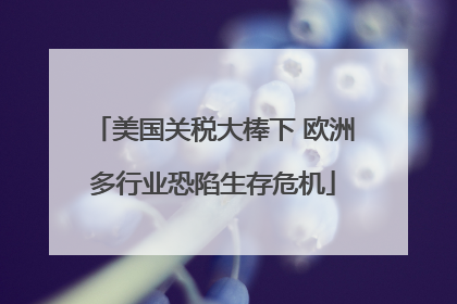 美国关税大棒下 欧洲多行业恐陷生存危机
