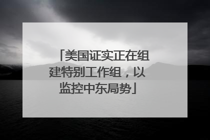 美国证实正在组建特别工作组，以监控中东局势