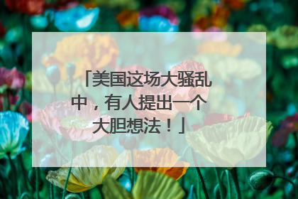 美国这场大骚乱中，有人提出一个大胆想法！