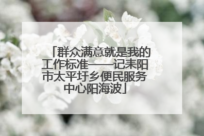 群众满意就是我的工作标准——记耒阳市太平圩乡便民服务中心阳海波