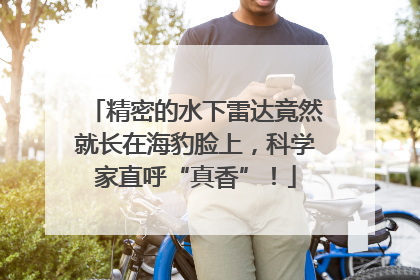 精密的水下雷达竟然就长在海豹脸上，科学家直呼“真香”！