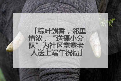 粽叶飘香，邻里情浓，“送福小分队”为社区耄耋老人送上端午祝福