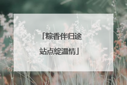 粽香伴归途 站点绽温情
