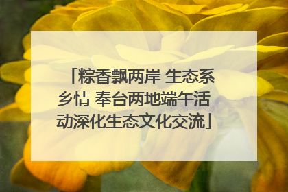 粽香飘两岸 生态系乡情 奉台两地端午活动深化生态文化交流