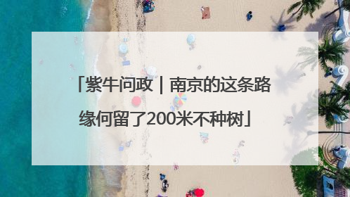 紫牛问政｜南京的这条路缘何留了200米不种树
