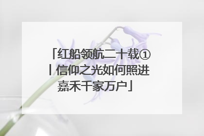 红船领航二十载①丨信仰之光如何照进嘉禾千家万户