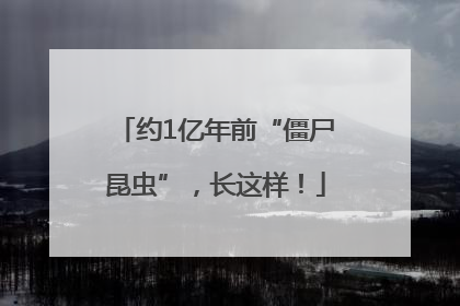 约1亿年前“僵尸昆虫”，长这样！