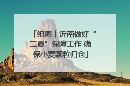 组图丨沂南做好“三夏”保障工作 确保小麦颗粒归仓