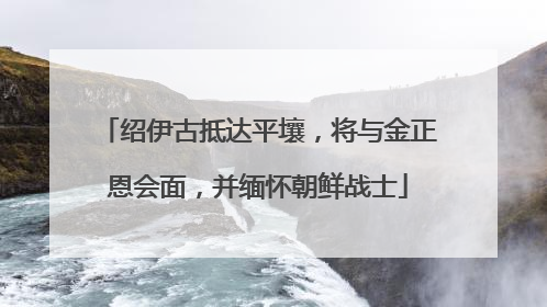 绍伊古抵达平壤，将与金正恩会面，并缅怀朝鲜战士