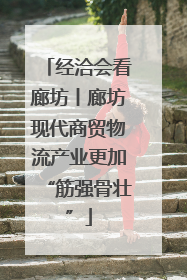 经洽会看廊坊丨廊坊现代商贸物流产业更加“筋强骨壮”